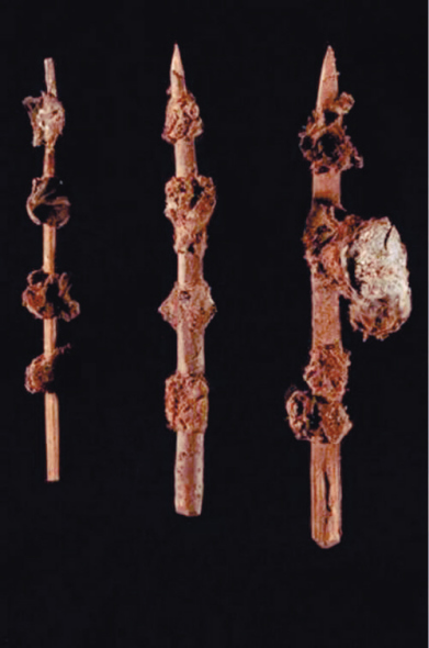 Kabobs discovered at Han tombs in Northwest China's Ningxia Hui autonomous region. [File photo]