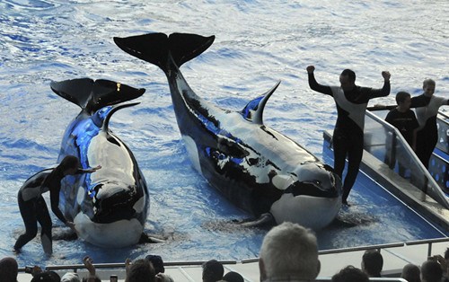 (Photo/China News Service)