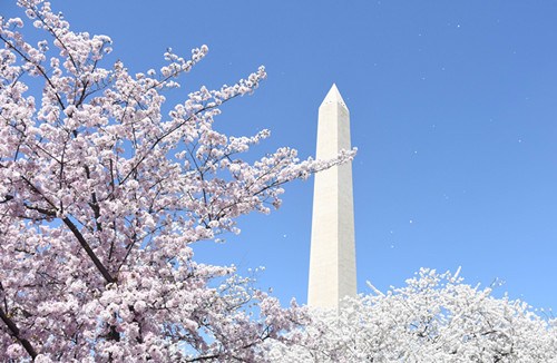 (Photo/China News Service)