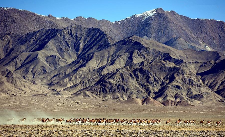 Scenery at Altun Mountains Nature Reserve in Xinjiang