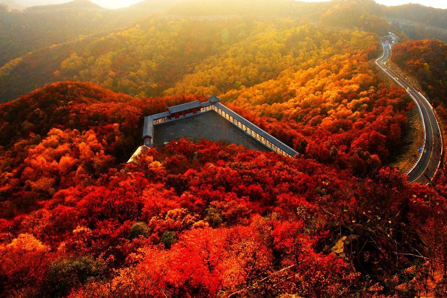 The golden autumn of North China