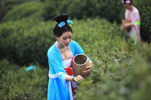 Tang Dynasty outfits promote tea culture 
