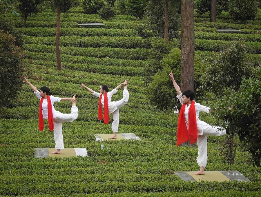 Tea cultural festival opens in Meitan County, Guizhou