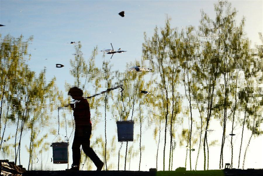 Farmers busy with planting around Guyu solar term