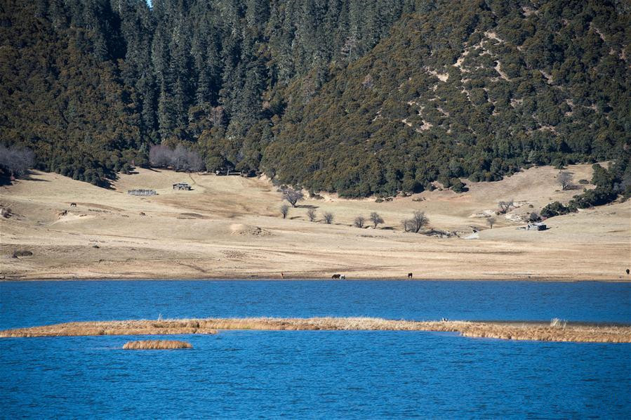 Early winter scenery of Shangri-La in Yunnan