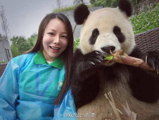 A panda from Chengdu recently made an impression on netizens after it took a selfie with a female visitor. In addition to holding onto the phone and taking the photo with the woman's help, the clever panda even adjusted its poses to create cuter photos. (Photo/bbs.chinadaily.com.cn)