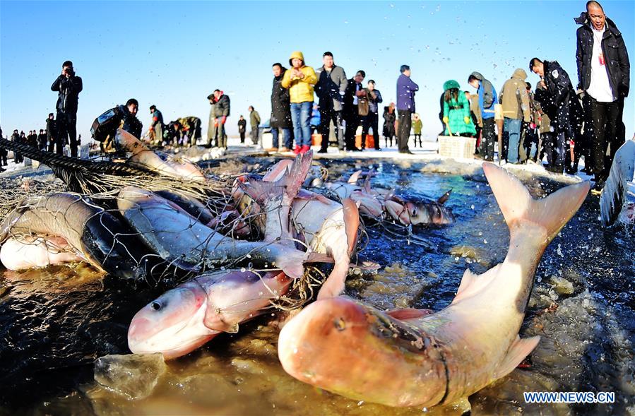 Liaoning devotes great efforts to promote winter tourism 