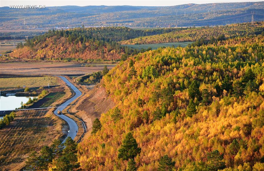 Autumn scenery of Huma County in Heilongjiang