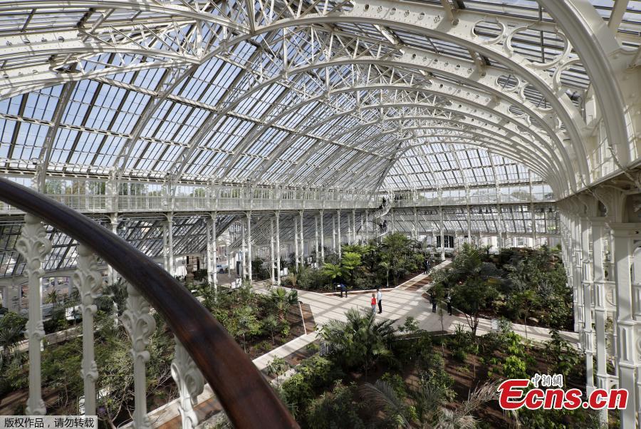 World's biggest surviving Victorian glasshouse re-opens in London 