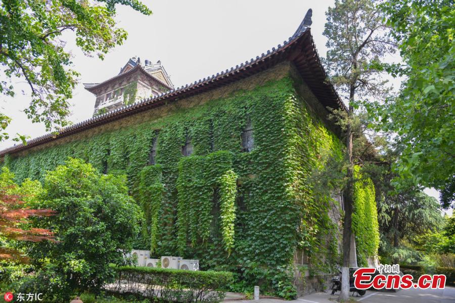 Century-old university building cloaked in creeper plants