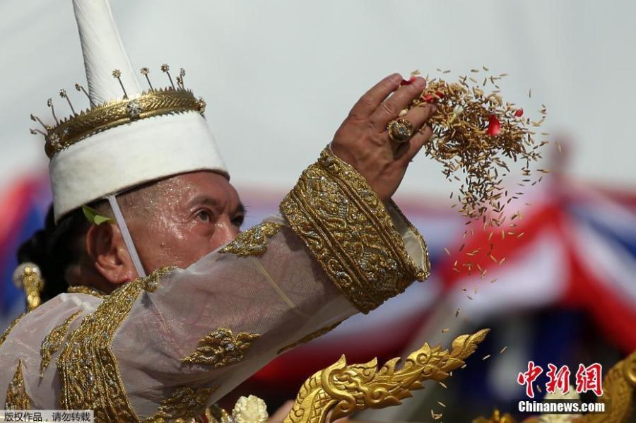 Bangkok holds royal ploughing ceremony