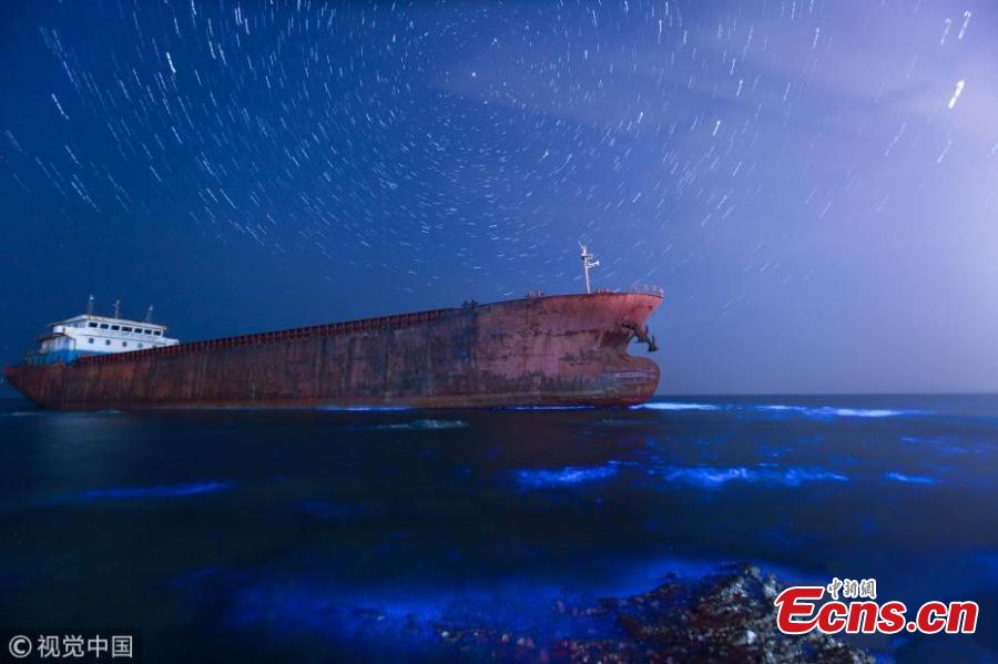 Sea turns fluorescent in Dalian, Northeast China 