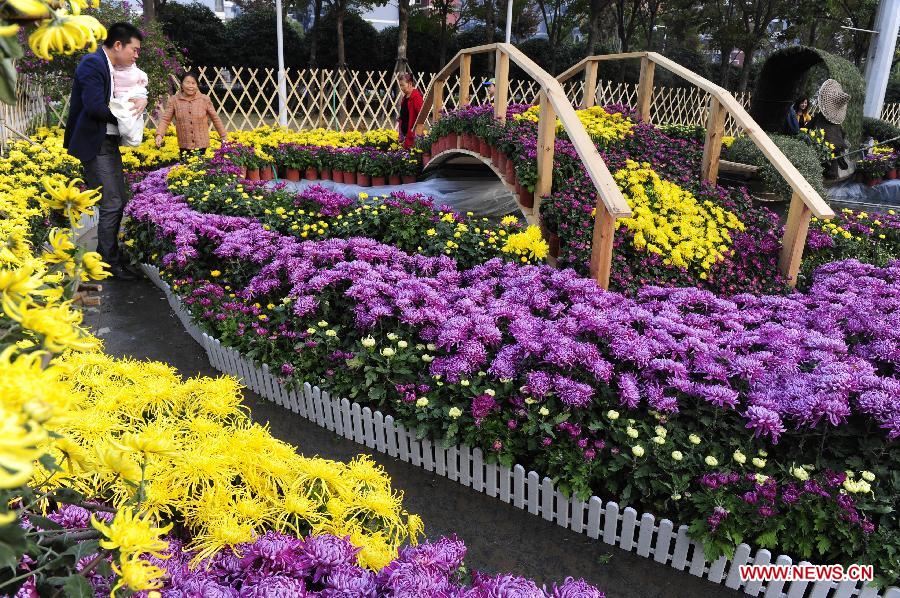 Wuhan Chrysanthemum Exhibition attracts visitors(1/3) Headlines