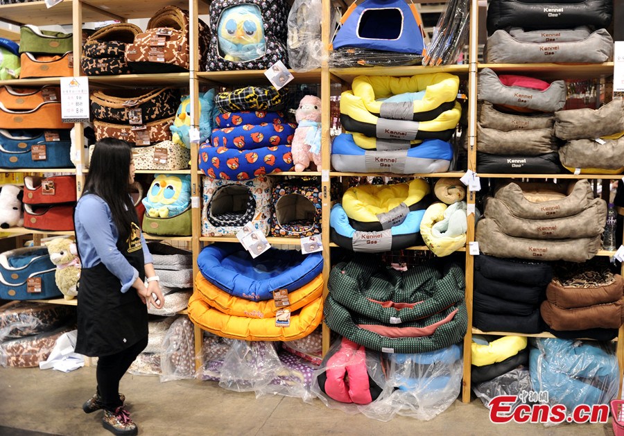 Hong Kong Pet Show 2014 kicks off (1/4) Headlines, features, photo