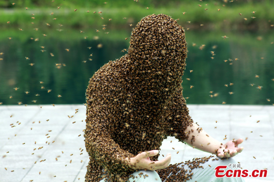 Jiangxi Man Breaks Bee Suit Guinness World Records 18 Headlines Features Photo And