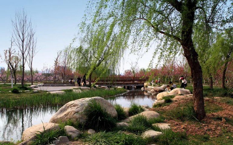 
The Silk Road \