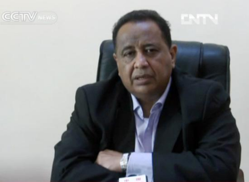 Ibrahim Ghandour, Chairman of External Relations, Sudan Nat'l Congress Party. (Photo: CNTV)
