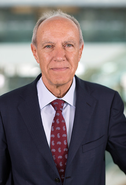 Francis Gurry, World Intellectual Property Organization director