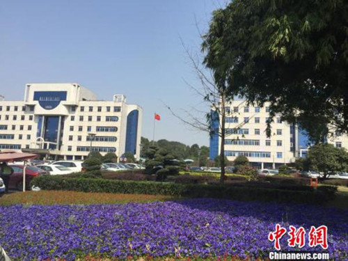 A picture of Changsha county government's compound which turns into a public park after the enclosing walls were taken down. (Photo by Li Junjie/chinanews.com)
