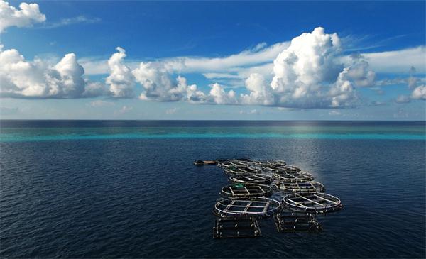Photo taken on July 17, 2016 shows a deepwater fish farming base near Meiji Reef of the Nansha Islands of China. Since fishery expert Lin Zailiang started a fish farm in Meiji Reef of South China Sea nine years ago, the deepwater fish farming cages have increased to 62 by now. Rare commercial fish cultured here are sold well both home and abroad. (Photo/Xinhua)