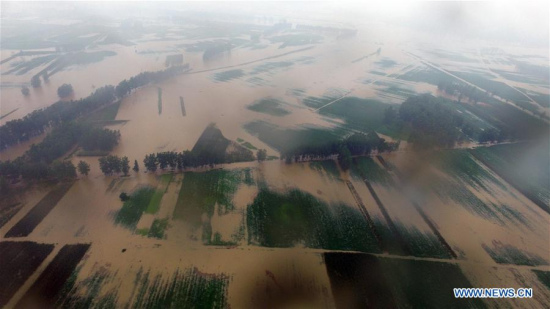 An aerial photo taken on July 19, 2016 shows waterlogged fields in Chaihu Town of Jingmen, central China's Hubei Province. Rainstorm hit Hubei Province on Tuesday, especially severe in Jingmen. (Xinhua)