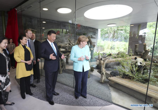 Chinese President Xi Jinping (2nd R), his wife Peng Liyuan, and German Chancellor Angela Merkel (1st R) visit the Panda Garden at the Berlin Zoo in Berlin, capital of Germany, July 5, 2017. (Xinhua/Ma Zhancheng)