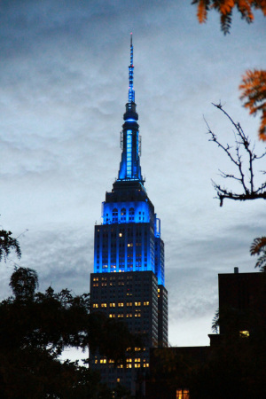 Empire State Building turns blue for 
