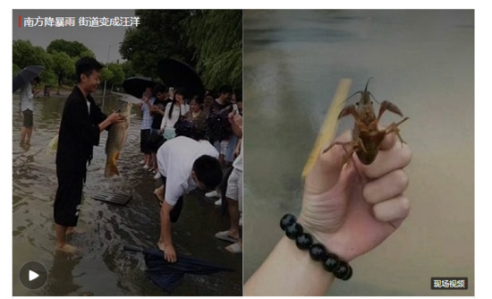 Fish and shrimp are pulled out of flood waters in Nanjing after torrential rain, June 10, 2017. (Screen shots)