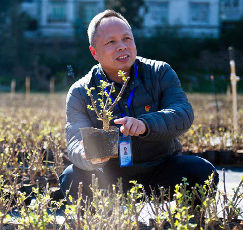 Ye Zhiyong is helping turn Pingtan Island green. (Photo / China Daily)