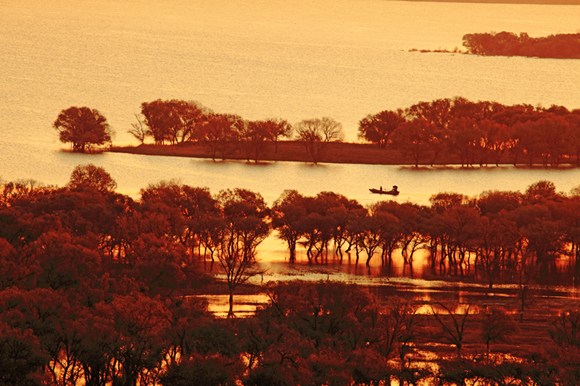 Xianghai National Nature Reserve in Tongyu county, Jilin province, is an important wetland for migratory birds. (Zhu Wanchang/for China Daily)