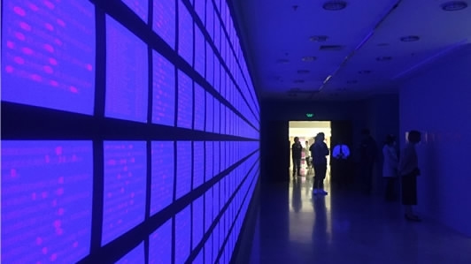 Exhibition of privacy data by Chinese artist shut down by police