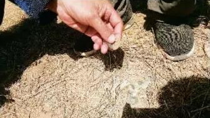 Relic thieves damage Great Wall in north China