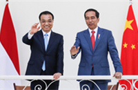 China, Indonesia sign cooperation agreements during Premier Li's visit