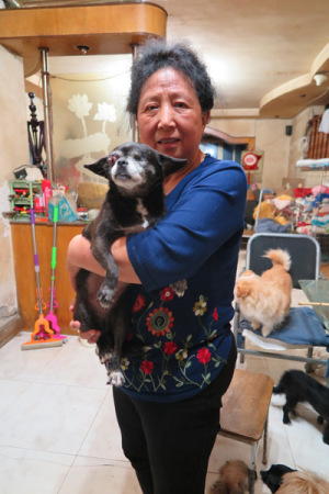 Chen Yunlian, who rescued more than 200 dogs from the rubble of the Wenchuan earthquake in 2008. Photo/China Daily