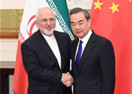 Chinese state councilor, Iranian foreign minister hold talks