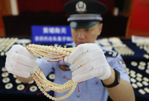An officer shows smuggled ivory products at Huangpu Customs in Guangzhou, Guangdong Province, on Monday. (Photo by ZHANG HAILONG/FOR CHINA DAILY)