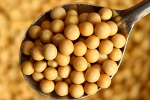 Soybean trade faces good prospects if disputes settled