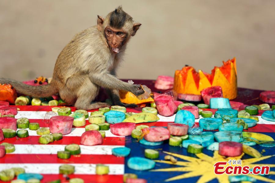 Monkey Buffet Festival in Thailand (2/8) - Headlines, features, photo and  videos from 