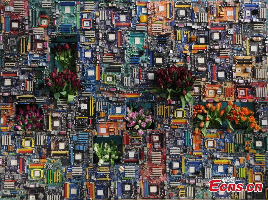 Flowers on computer chipboards attract visitors (2/2) - Headlines ...