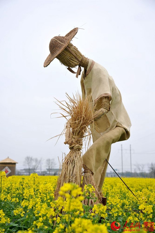 Scarecrows in E China scare birds but entertain humans(2/10)