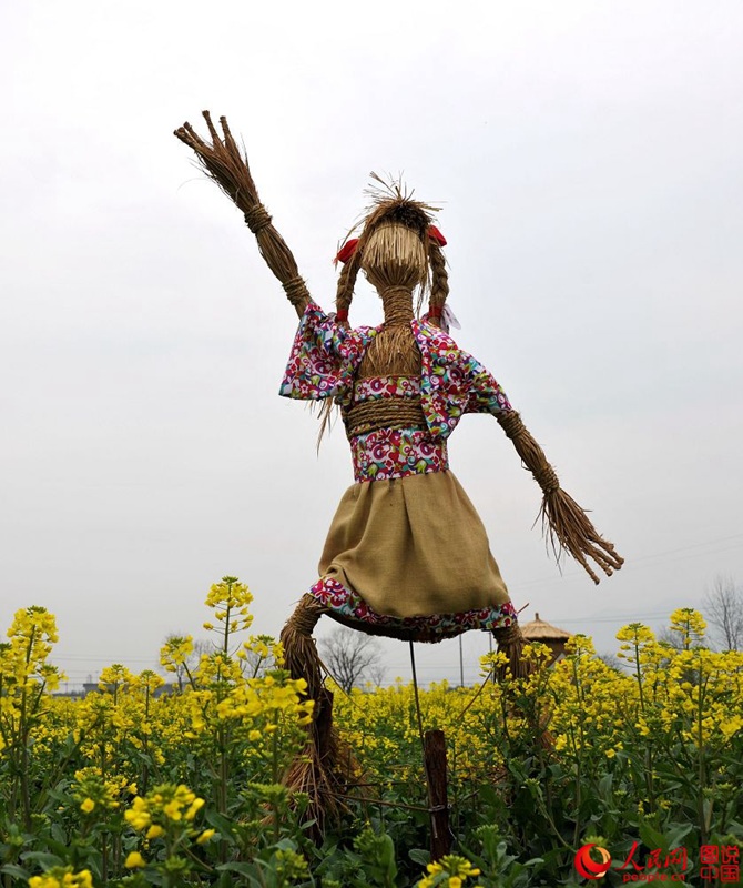 Scarecrows in E China scare birds but entertain humans(7/10)