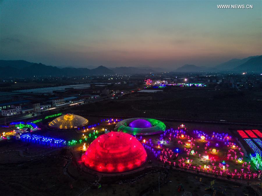 Tens of thousands of rose-shaped lights exhibited in E China's county ...