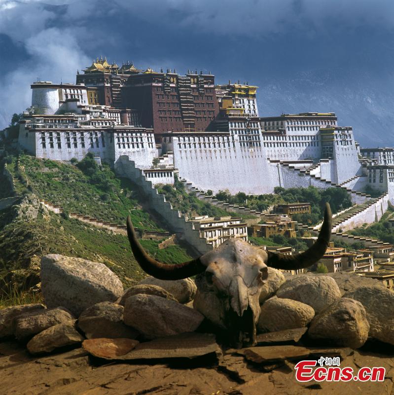 in photos: potala palace from different angles(2/19)