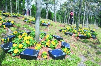 Chinese embracing new alternatives to bid farewell to life