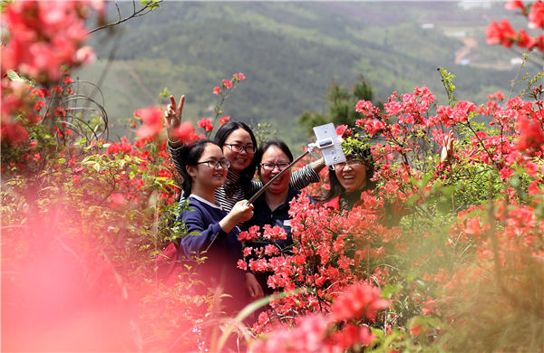 Apps are new tour guides for Chinese tourists