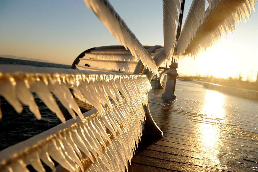 sunrise casts golden glow over seaside icicles in dalian