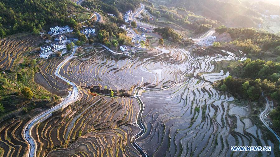 Bird's-eye view of terraced fields on Wuyun mountain