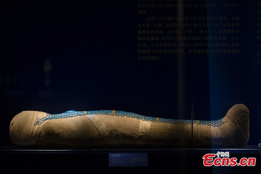 Exhibition showcases Egyptian civilization in Taiyuan