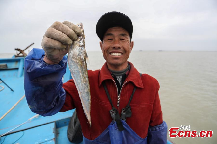 Fishing season begins for rare Yangtze River fish