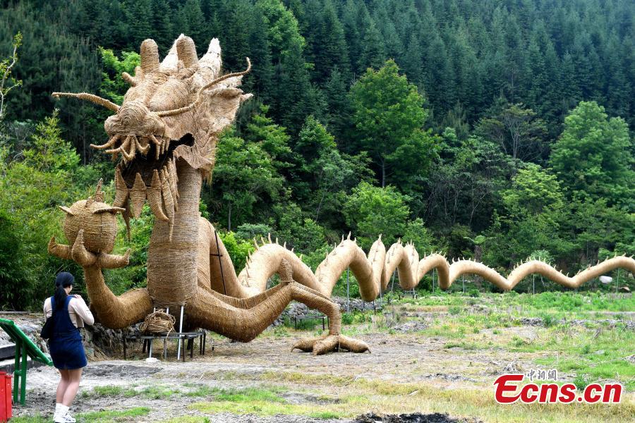 Straw dragon, 150m long, said to be the largest in China 